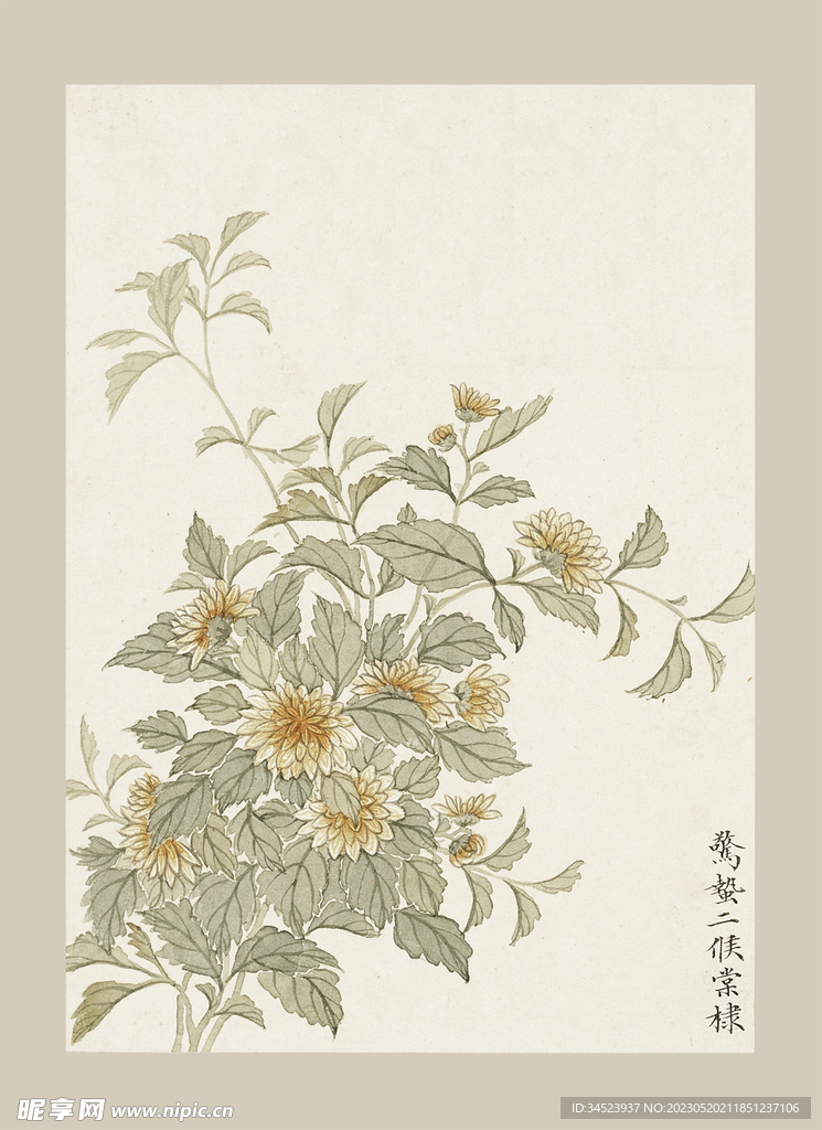 传统节气花卉