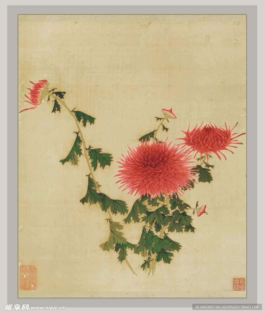 国画菊花系列