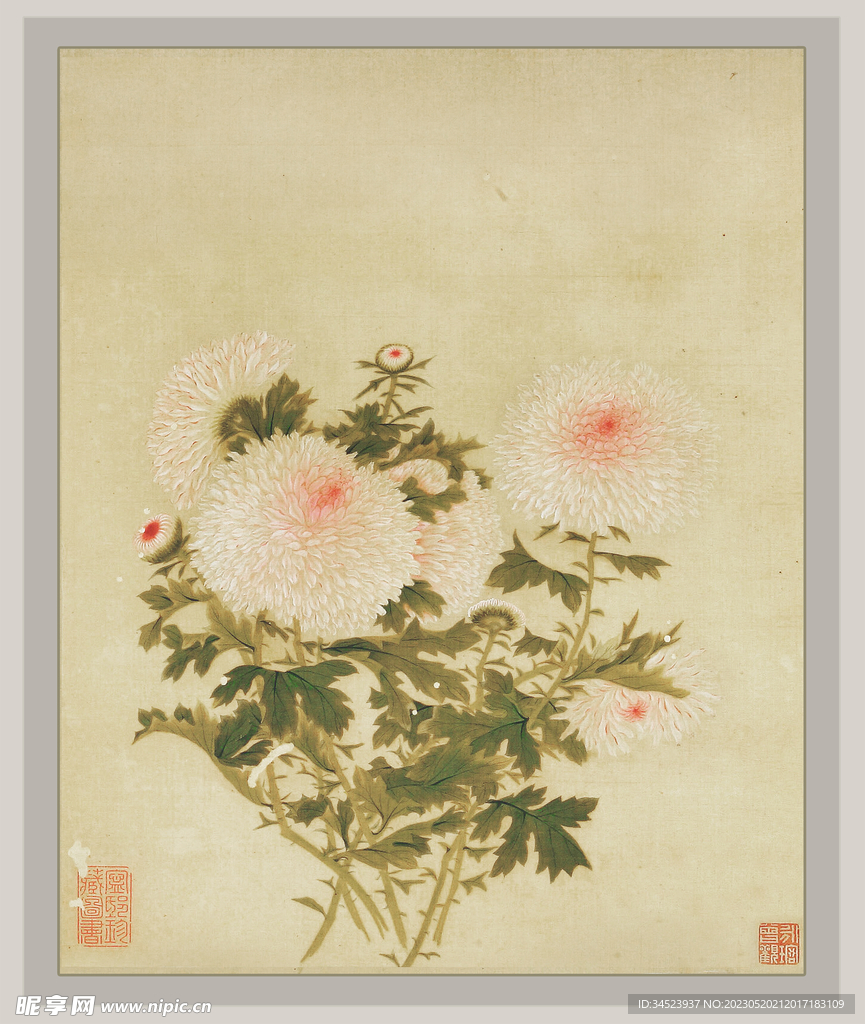 国画菊花系列3