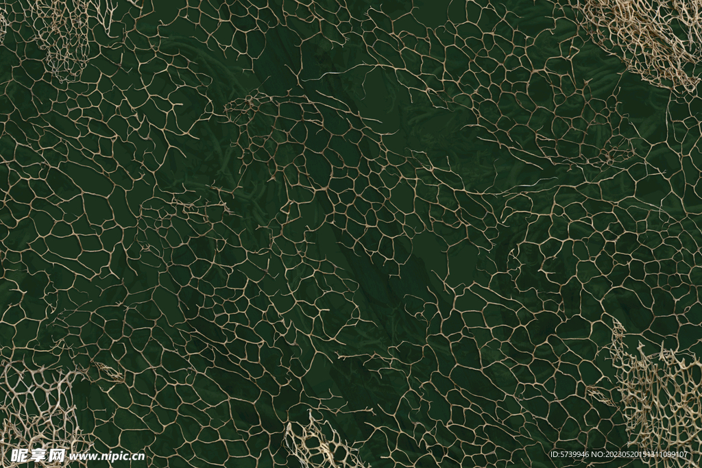 植物干枯纹理背景