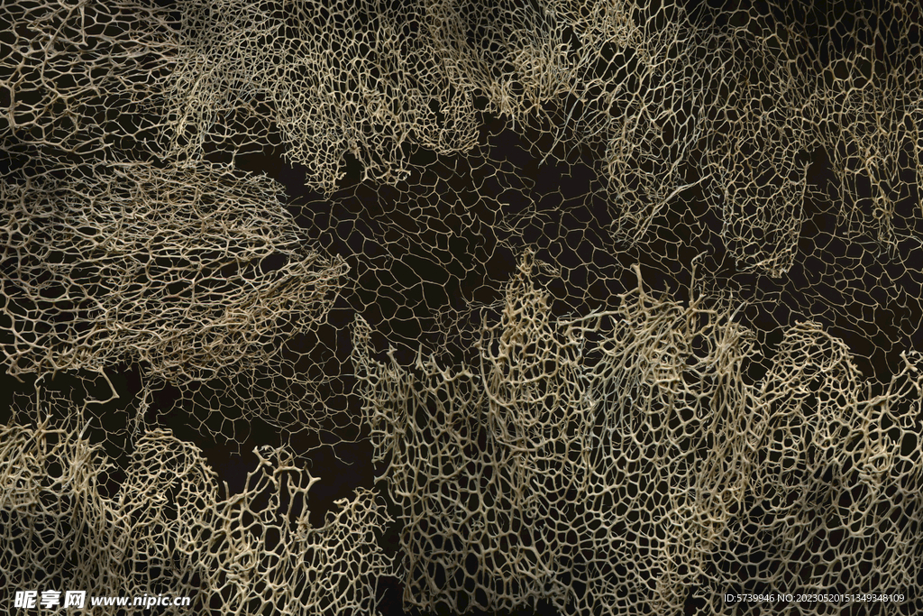 植物干枯纹理背景