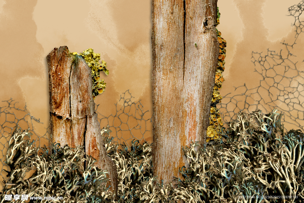 植物干枯纹理背景