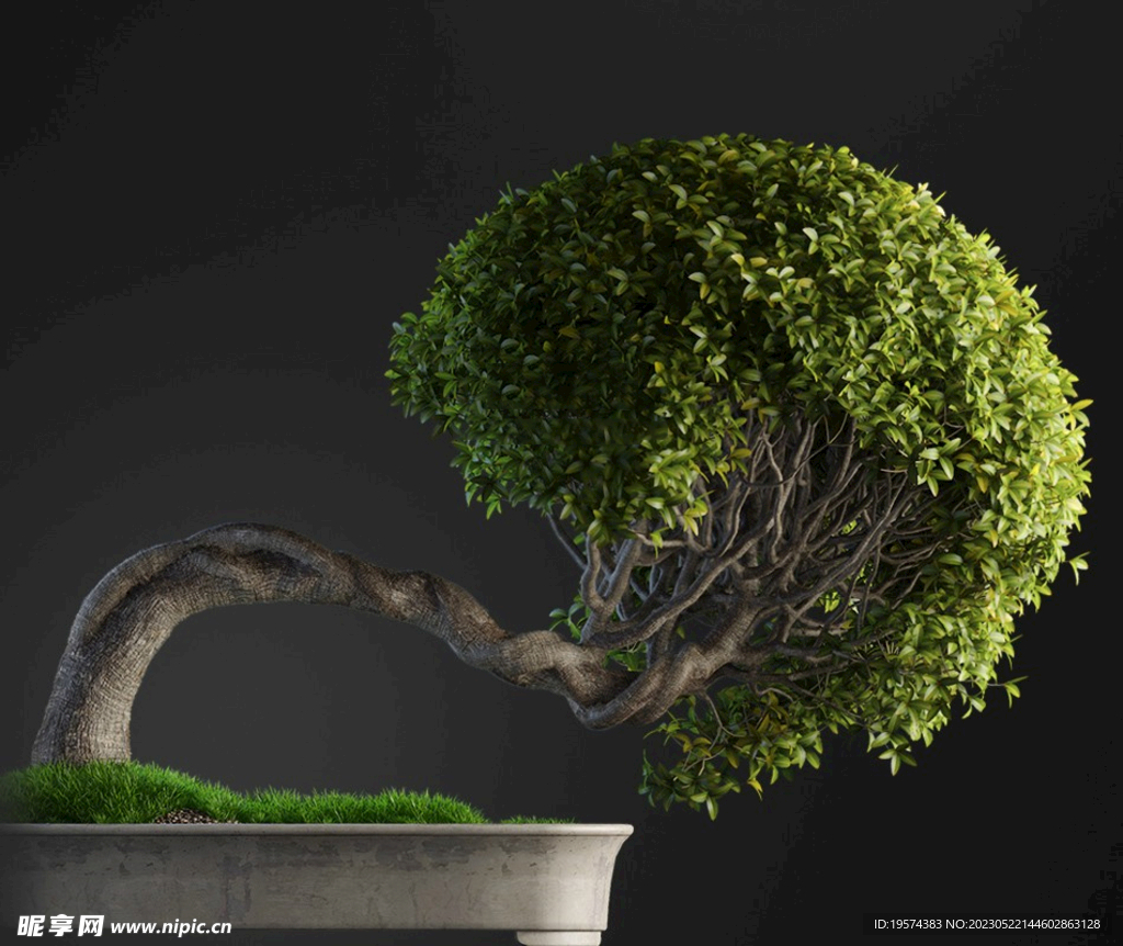 C4D模型歪脖子盆景