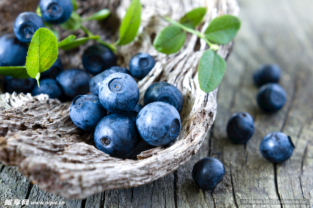 蓝莓水果