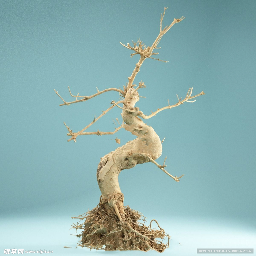 C4D模型 盆栽 