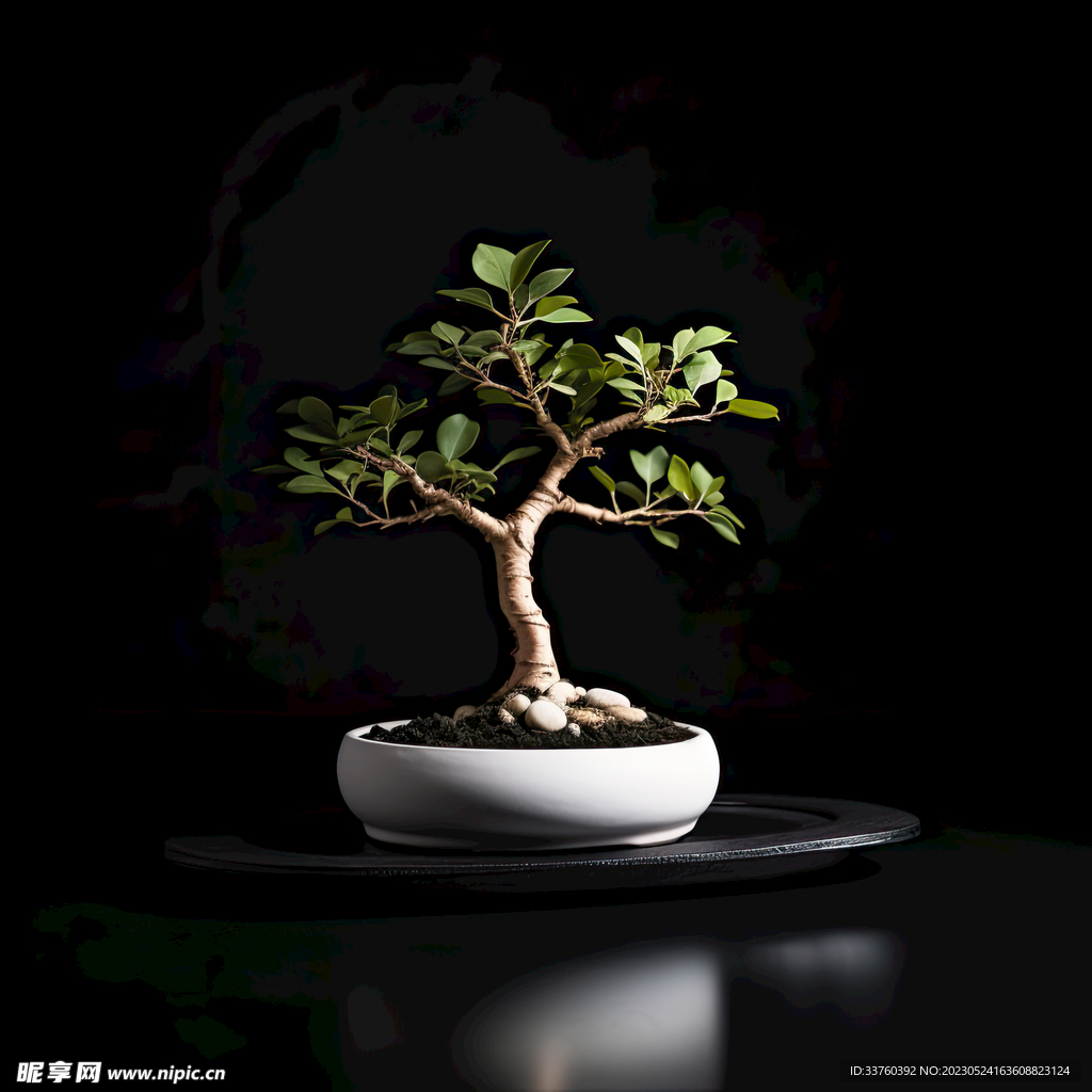 盆栽素材