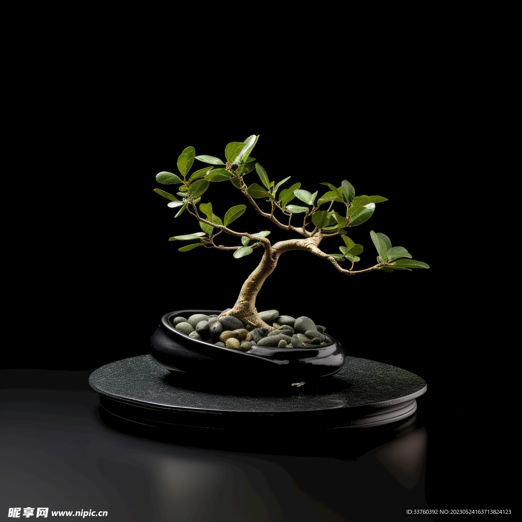 盆栽素材
