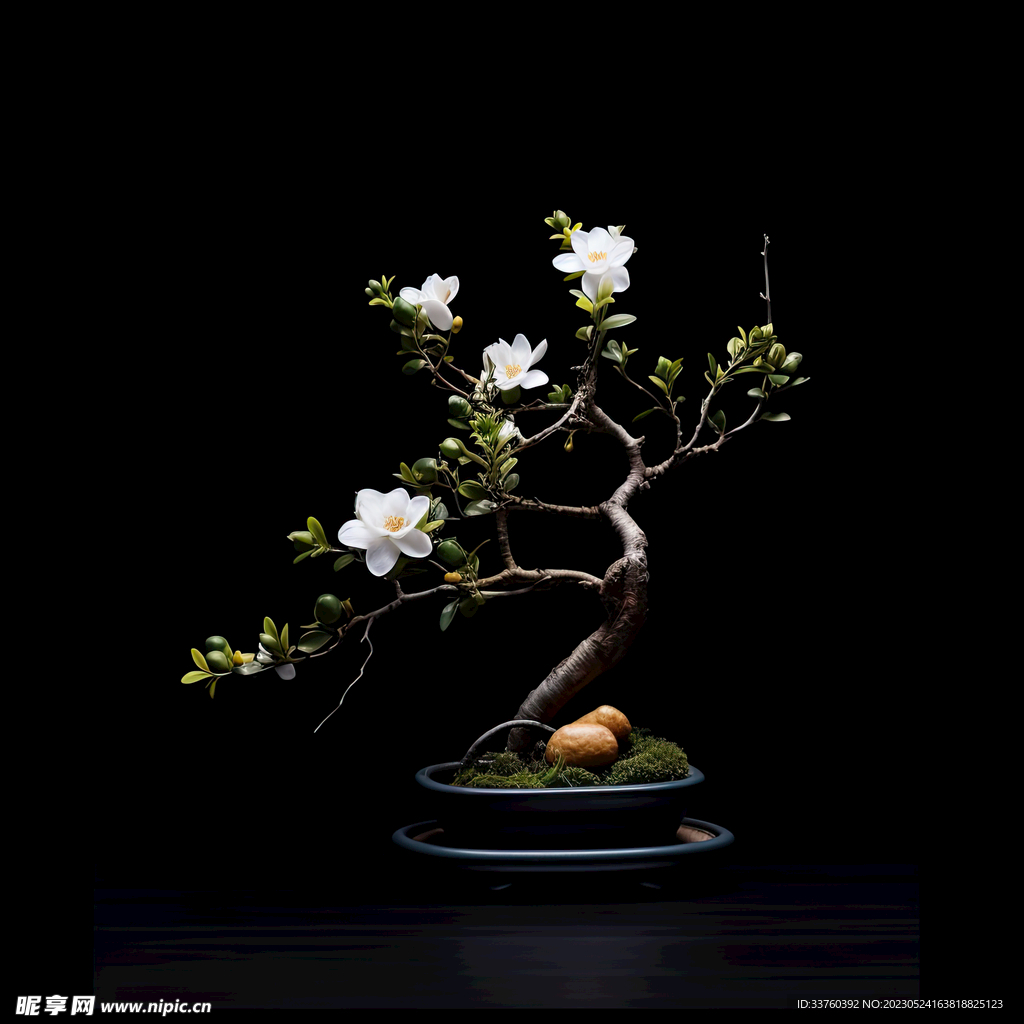 盆栽素材