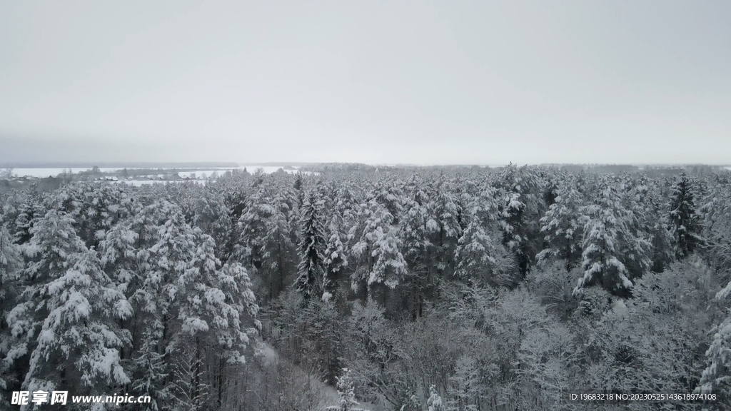 林海雪原