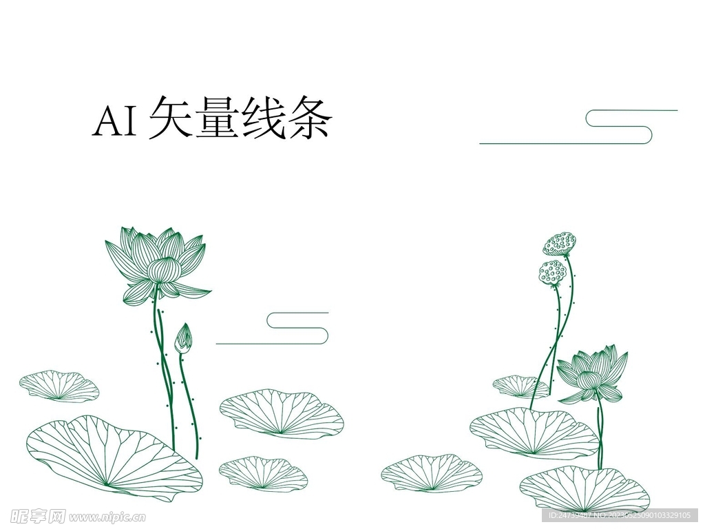 荷花