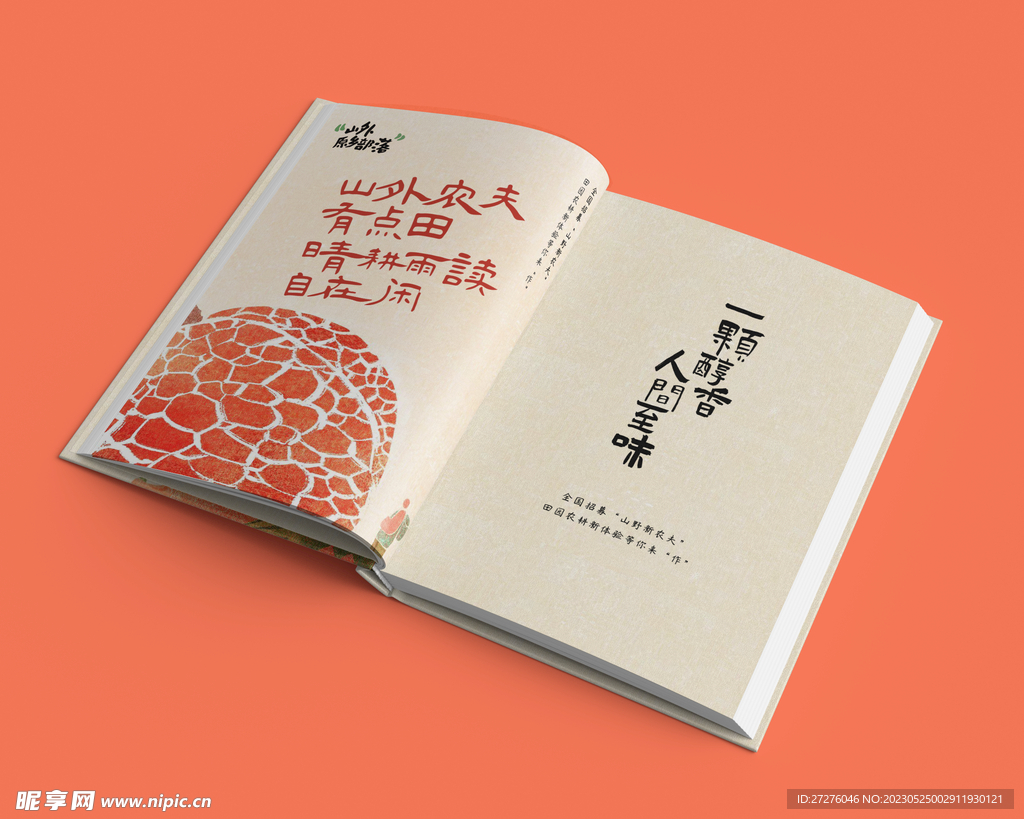 硬壳书籍VI样机