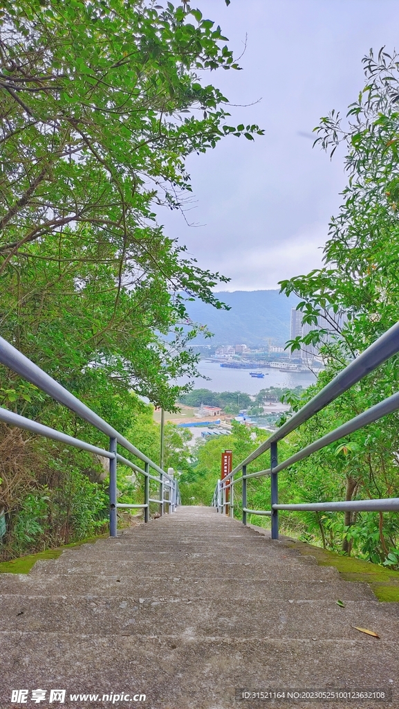 公园手机壁纸摄影