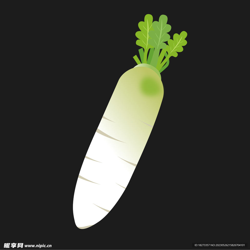 白萝卜