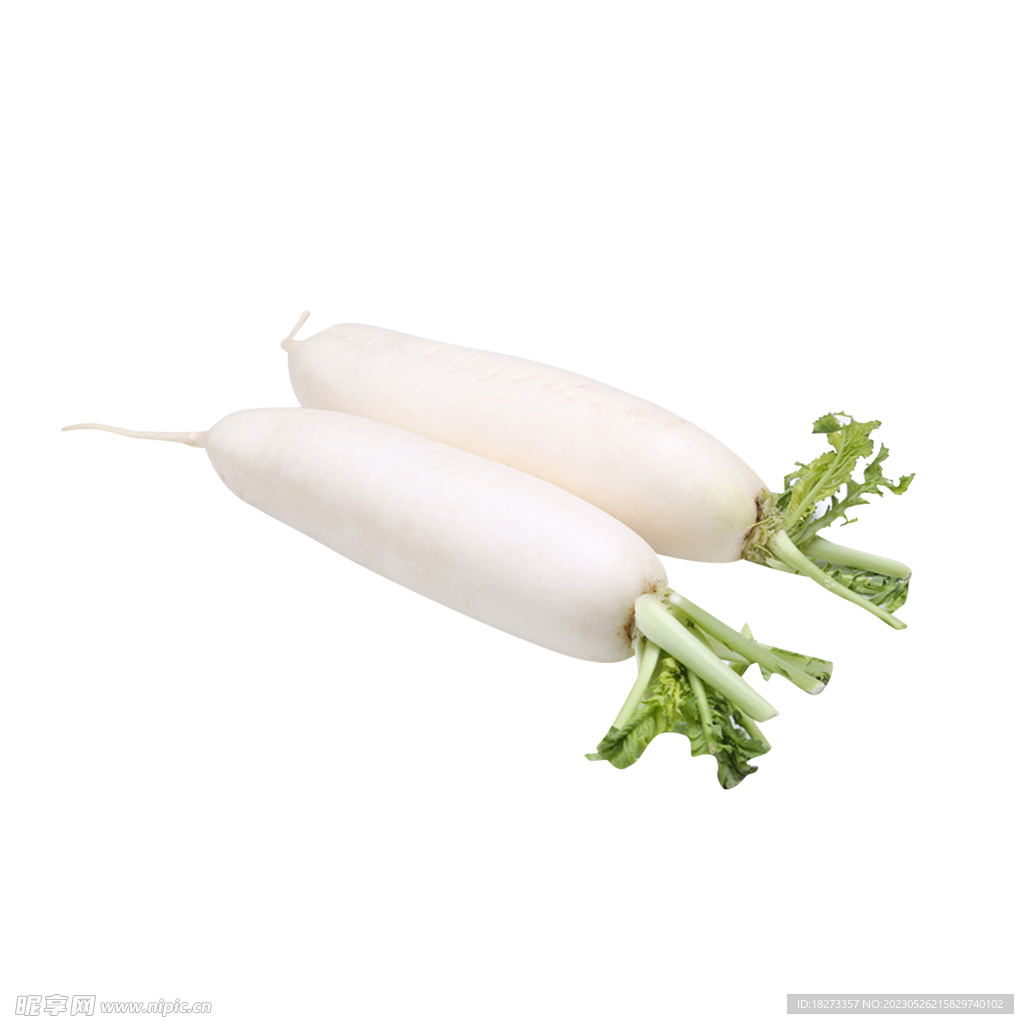 白萝卜
