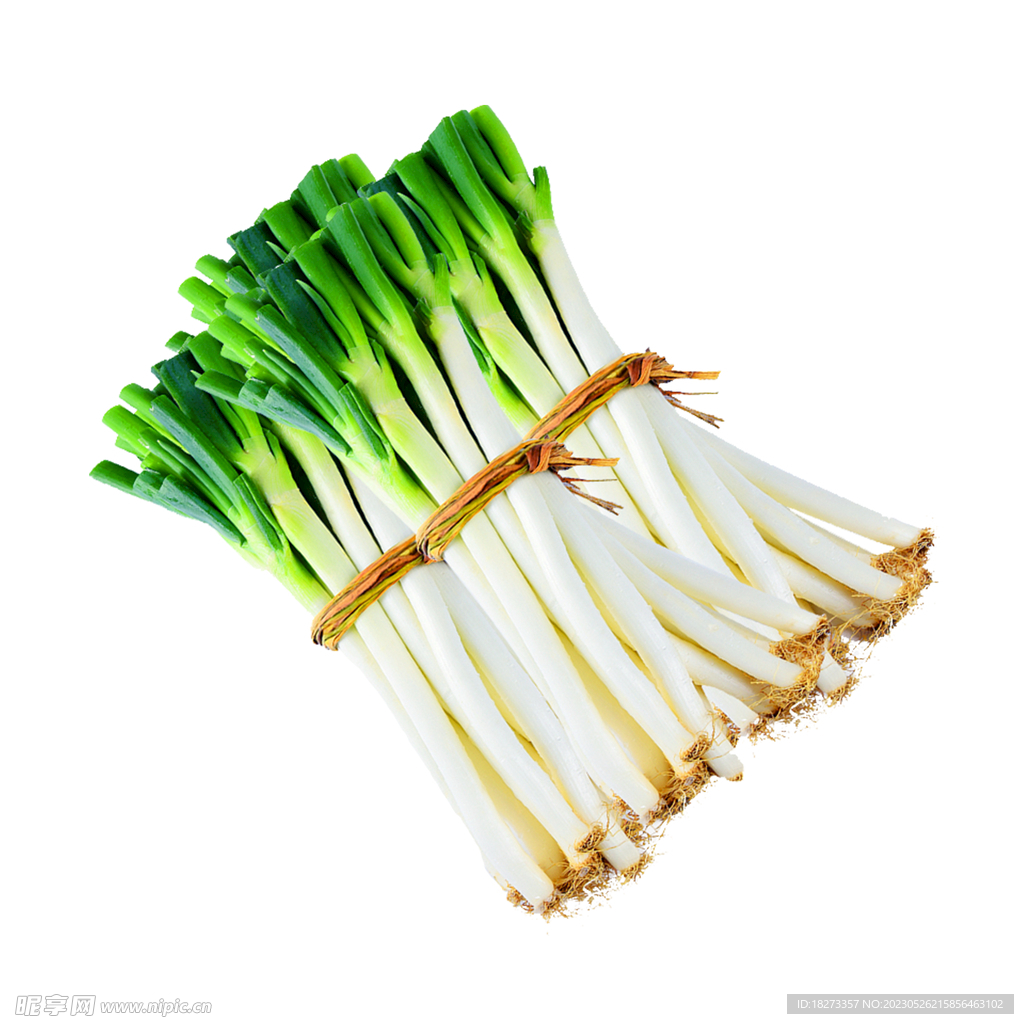 大葱