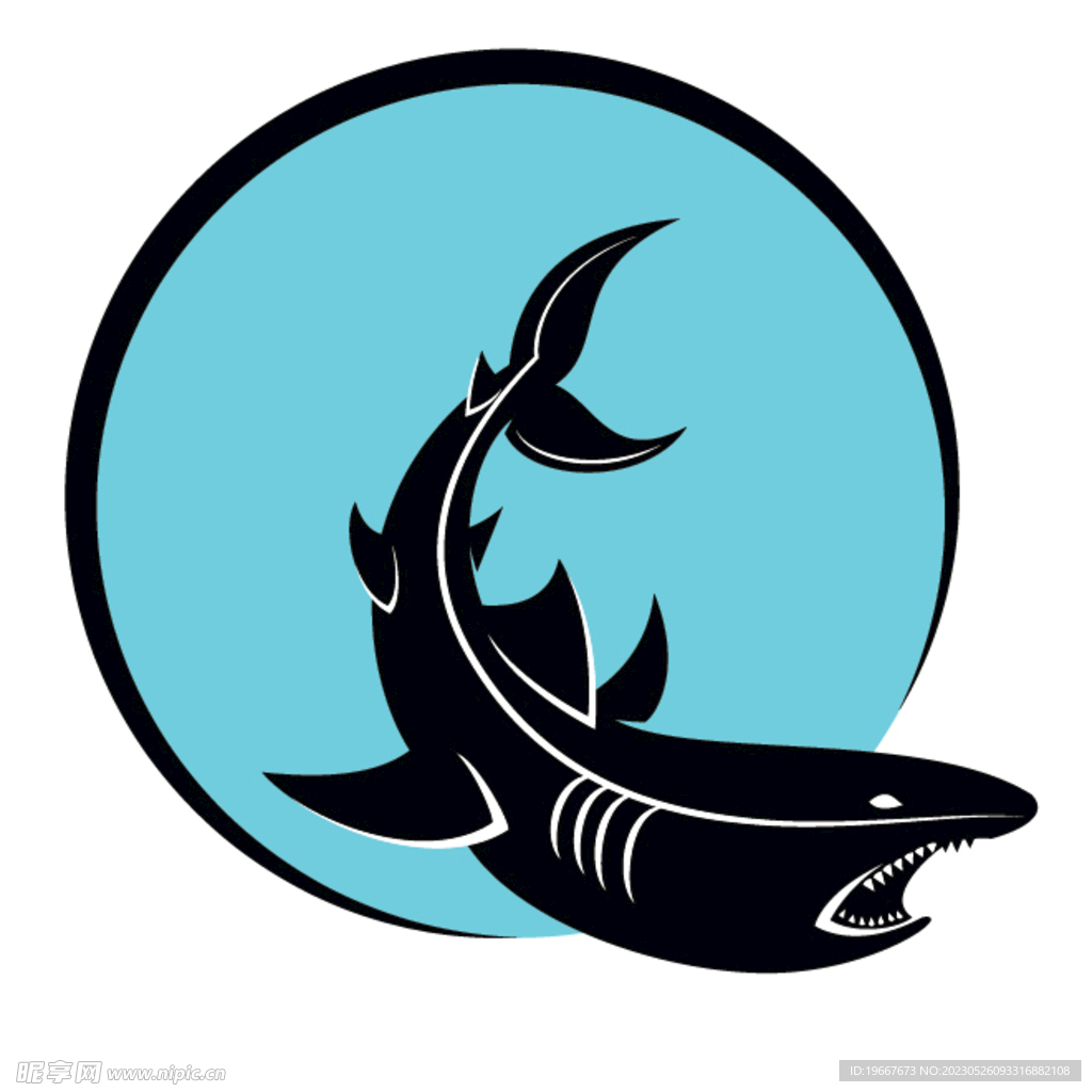 鯊魚