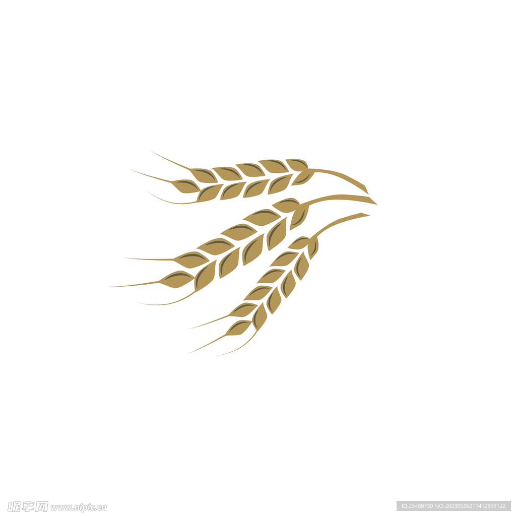 麦穗