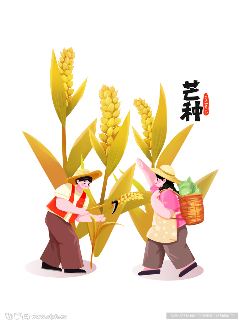 麦穗