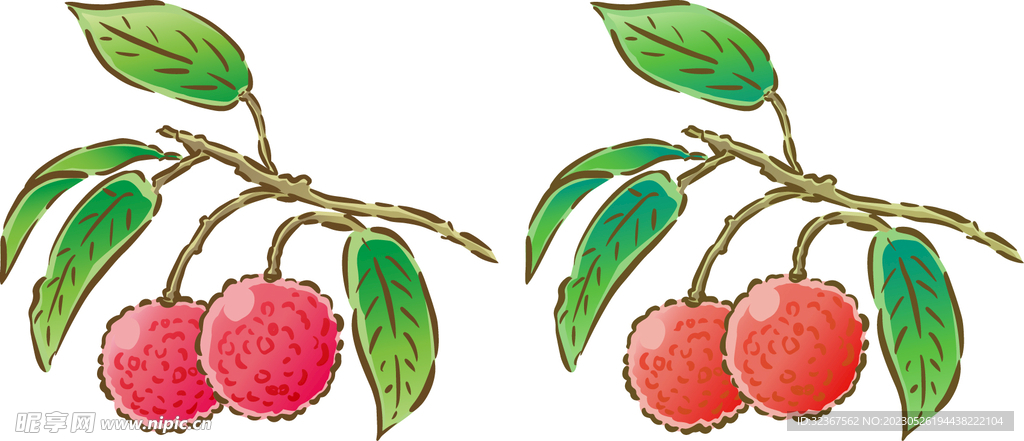 荔枝插画