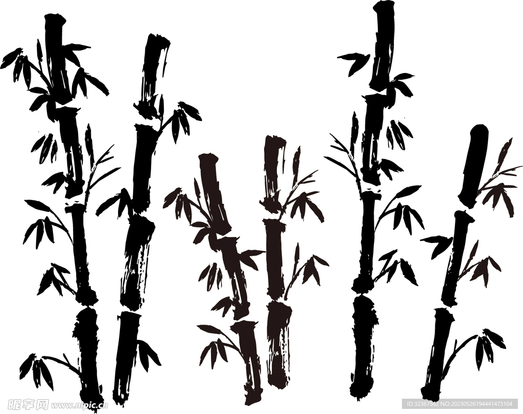 竹子手绘