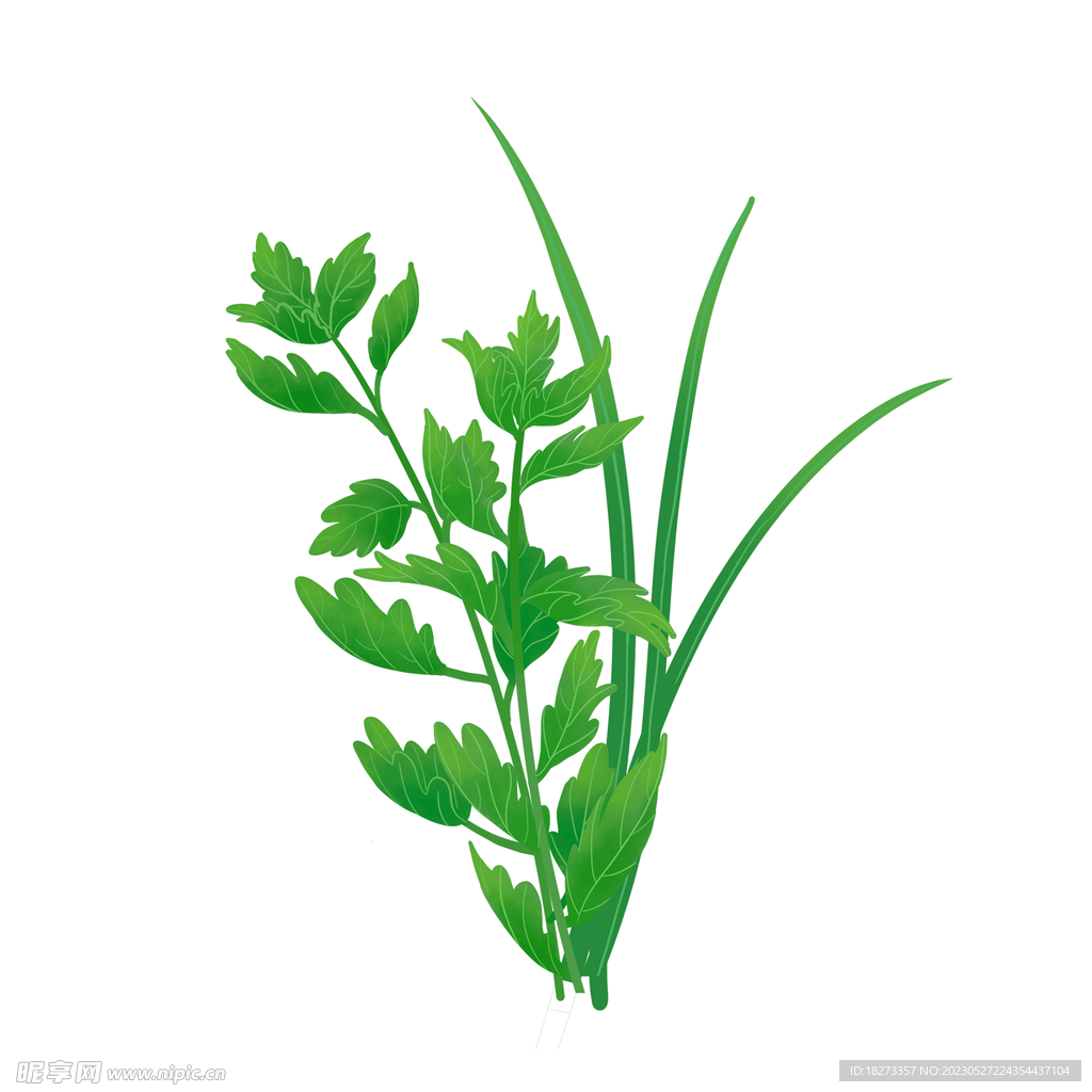 艾草