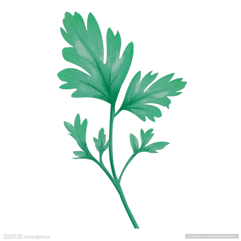 艾草