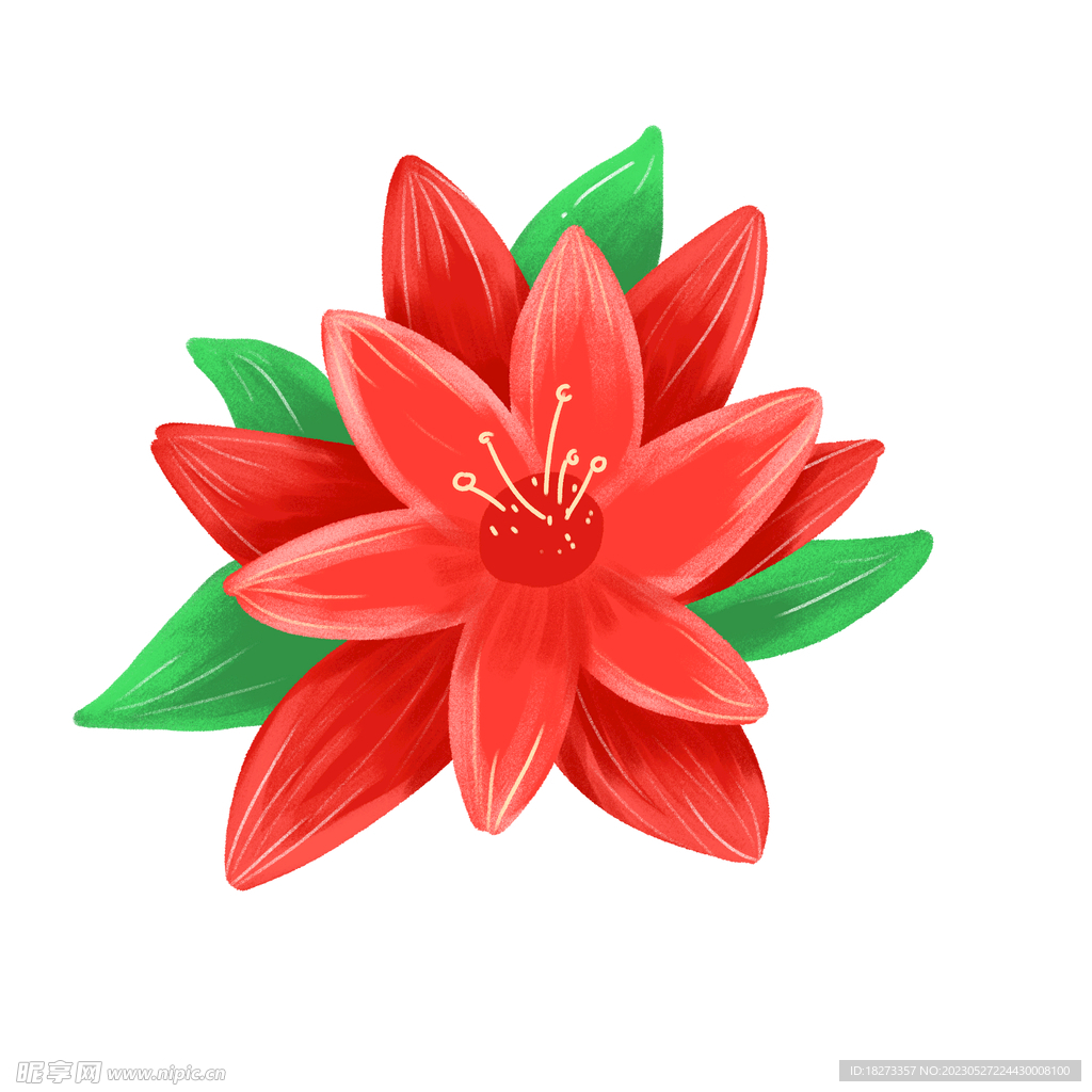 藏红花