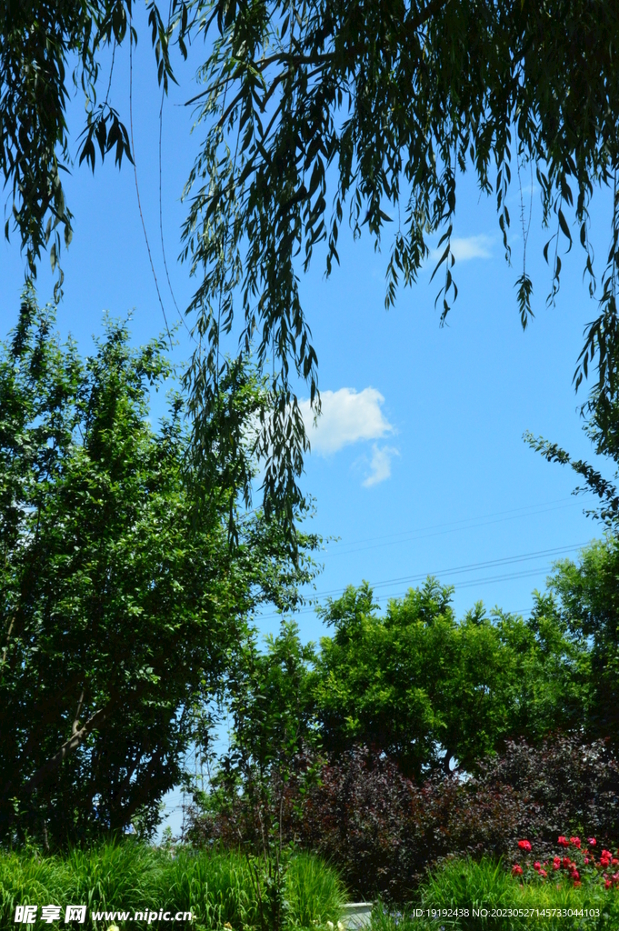 园林风景