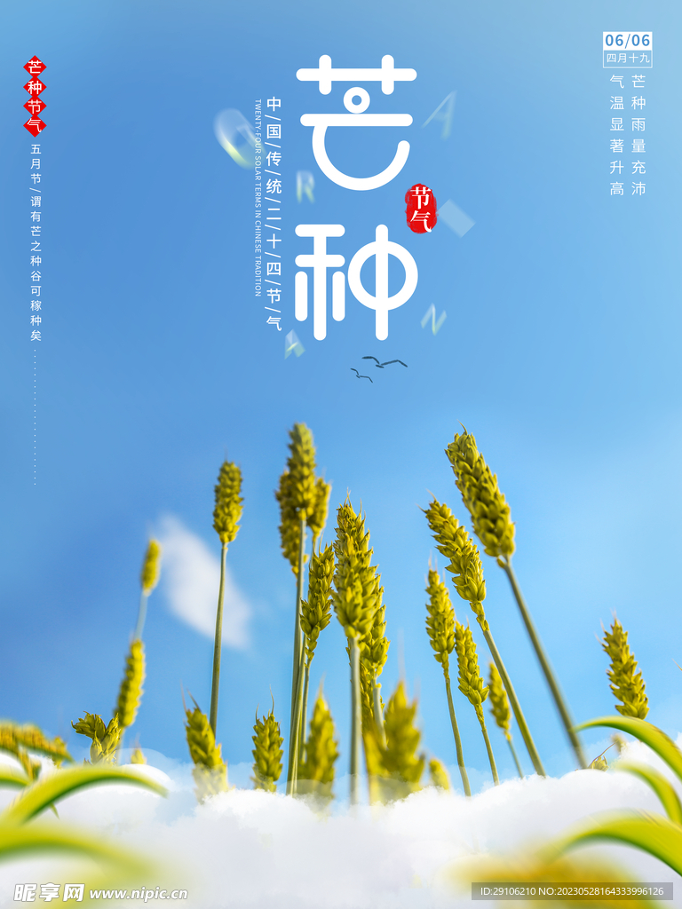 芒种海报