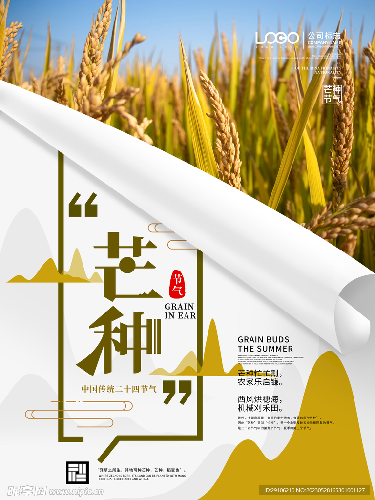 芒种海报