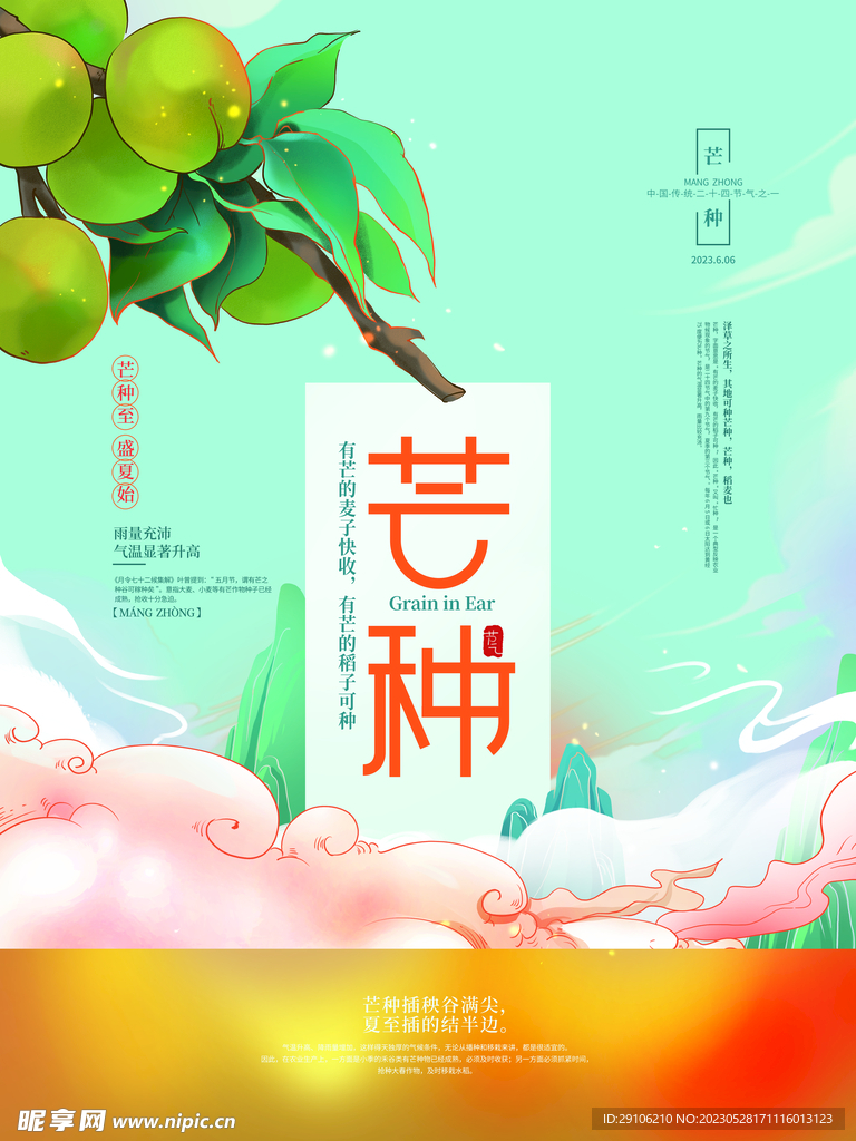芒种海报