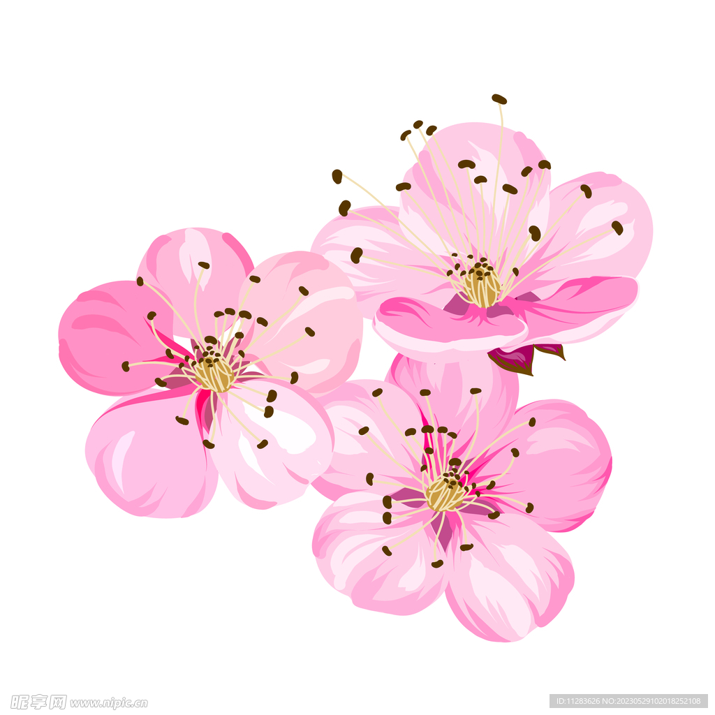 手绘花朵