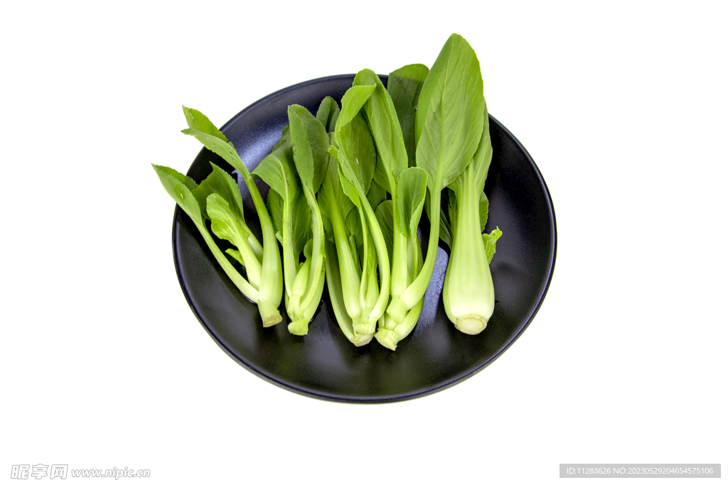 小青菜