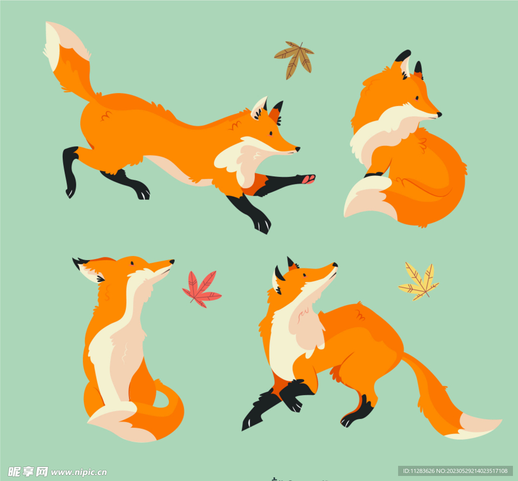 狐狸插画
