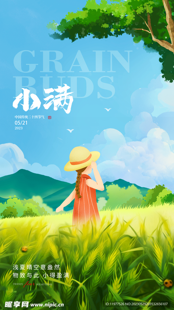 小满节气海报