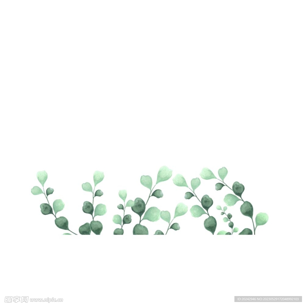 水彩植物边框