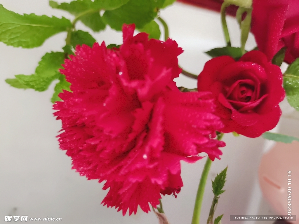 鲜花