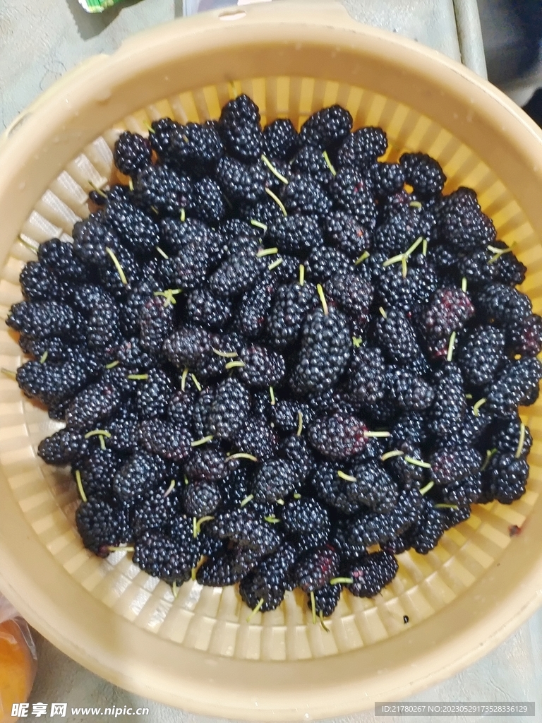 桑葚