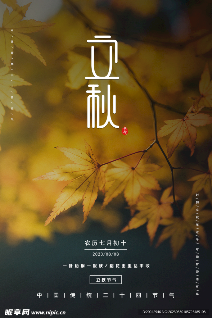 立秋海报