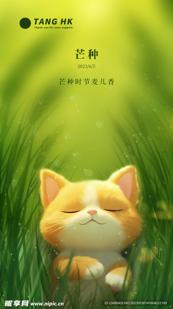 芒种海报