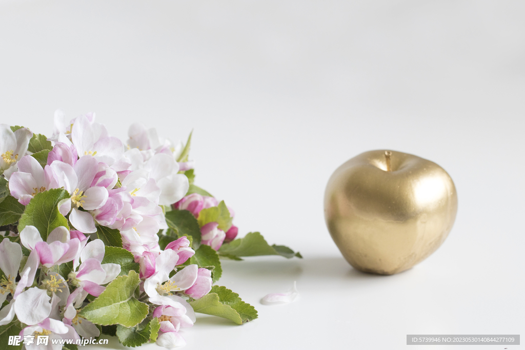 苹果花