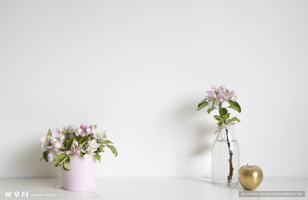 苹果花