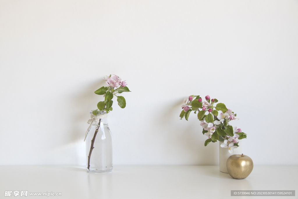 苹果花