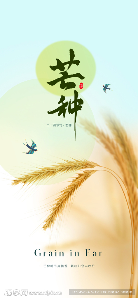 芒种