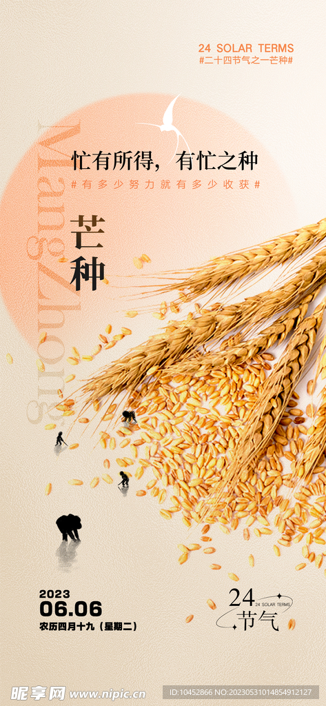 芒种