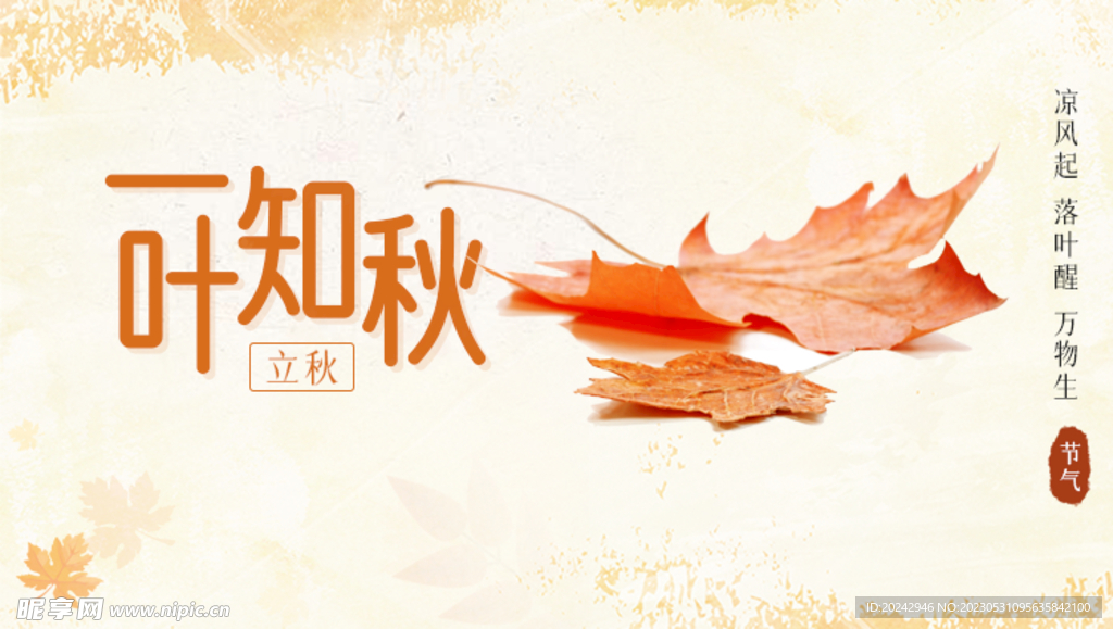 立秋海报