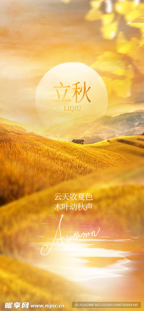 立秋展架 海报