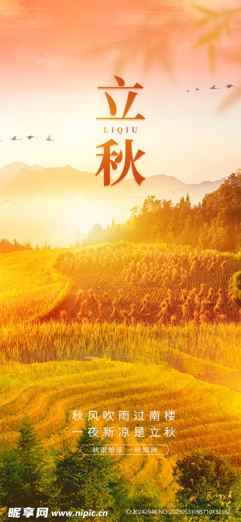 立秋展架 海报