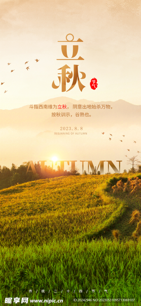 立秋展架 海报