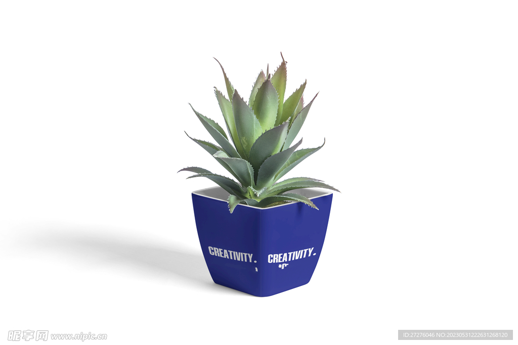绿植样机
